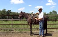 آموزش روشی امن برای اسب سواری
