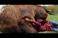 کلیپ دوستی با خرس