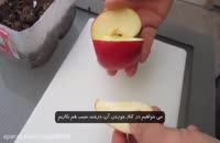 چگونه درخت سیب بکاریم ؟