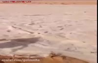 جاری شدن رودخانه ای عجیب در عراق