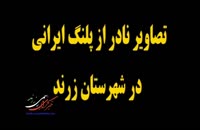 ویدئوی بسیار جالب از سه پلنگ ایرانی در شهرستان زرند