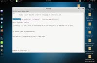 fake page in linux 2.0