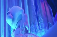 تریلر انیمیشن منجمد - Frozen ۲۰۱۳