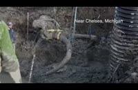 کشف بقایای ماموت چند هزار ساله در میشیگان آمریکا
