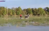 اسکی روی آب با اسب_آخر خنده