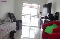 گربه دروازه بان ماهر+فیلم ویدیو کلیپ بامزه جالب عجیب