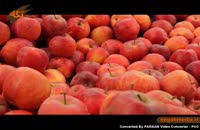 اموزش پزشکی: خواص سیب و پرتقال