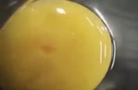 یه تخم مرغ چطور به جوجه تبدیل می شود