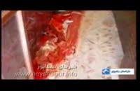 سارق مسلح هنگام سرقت از فیروزه فروشی به ضرب گلوله پلیس