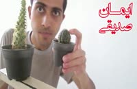کاکتوس خوردن یک ایرانی