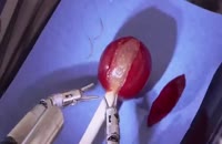 انجام عمل جراحی روی دانه انگور توسط یک ربات
