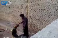 عاقبت اذیت کردن سگ توسط چند جوان ایرانی
