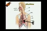 کلیپ آموزش پزشکی : تنفس در انسان