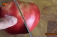 آموزش ساخت قو با سیب