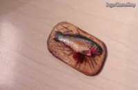 آموزش ساخت مگنت ماهی